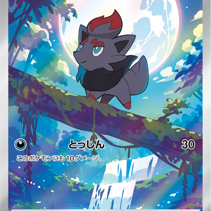 Full Art Pokemon Japanese Pokemon