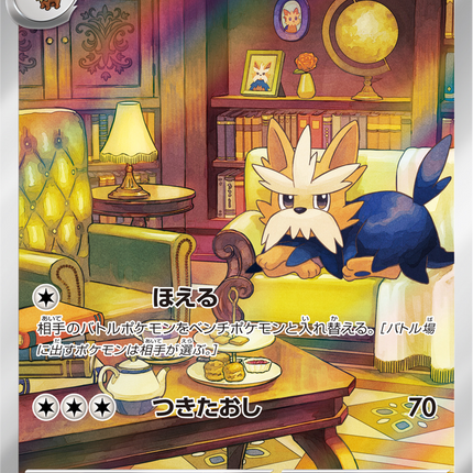 Full Art Pokemon Japanese Pokemon
