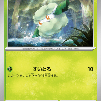 Base Set Pokemon Japanese Pokemon