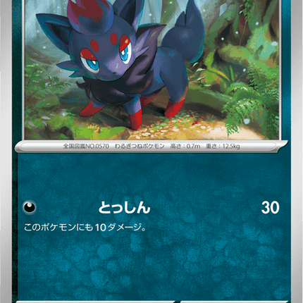 Base Set Pokemon Japanese Pokemon