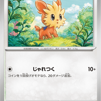 Base Set Pokemon Japanese Pokemon