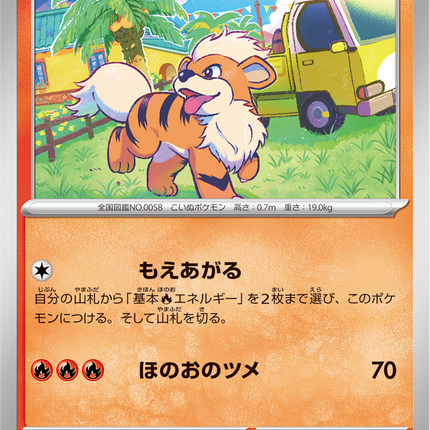 Base Set Pokemon Japanese Pokemon
