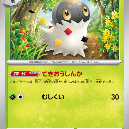 Base Set Pokemon Japanese Pokemon