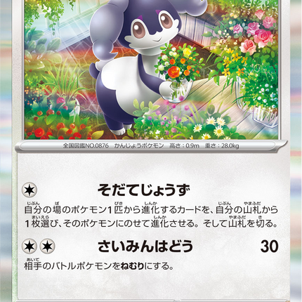 Base Set Pokemon Japanese Pokemon
