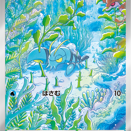 Full Art Pokemon Japanese Pokemon