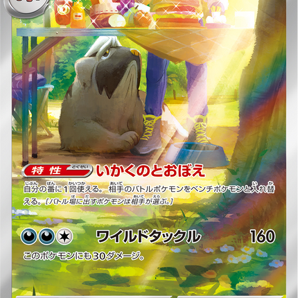 Full Art Pokemon Japanese Pokemon