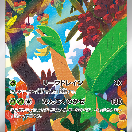 Full Art Pokemon Japanese Pokemon