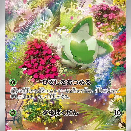 Full Art Pokemon Japanese Pokemon
