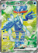 Full Art Pokemon Japanese Pokemon