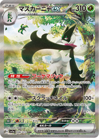 Full Art Pokemon Japanese Pokemon