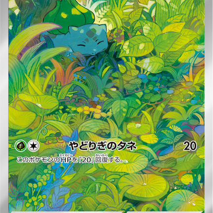 Full Art Pokemon Japanese Pokemon