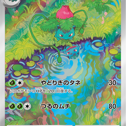 Full Art Pokemon Japanese Pokemon