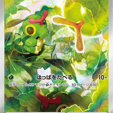 Full Art Pokemon Japanese Pokemon
