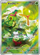 Full Art Pokemon Japanese Pokemon
