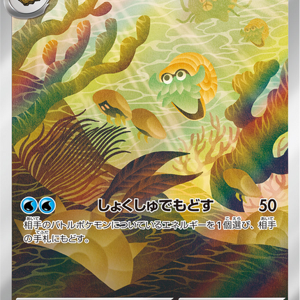 Full Art Pokemon Japanese Pokemon