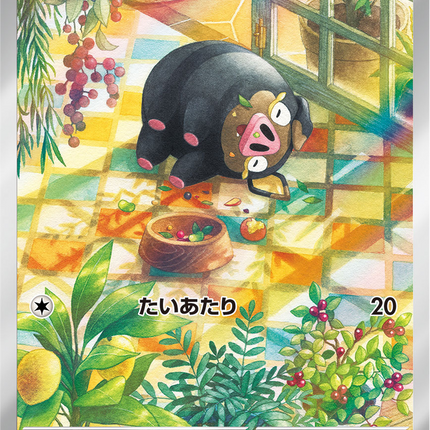 Full Art Pokemon Japanese Pokemon