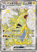 Full Art Pokemon Japanese Pokemon