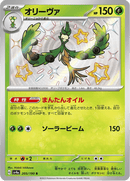 Shiny treasure -  Baby Shiny