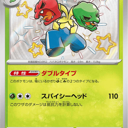 Shiny treasure -  Baby Shiny