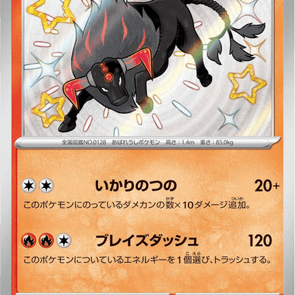 Shiny treasure -  Baby Shiny