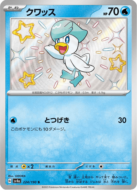 Shiny treasure -  Baby Shiny