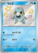 Shiny treasure -  Baby Shiny