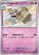 Shiny treasure -  Baby Shiny