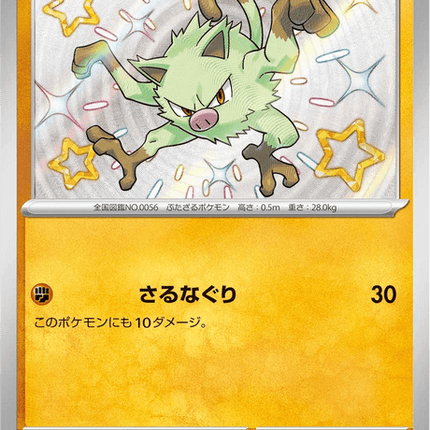 Shiny treasure -  Baby Shiny