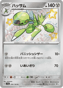 Shiny treasure -  Baby Shiny