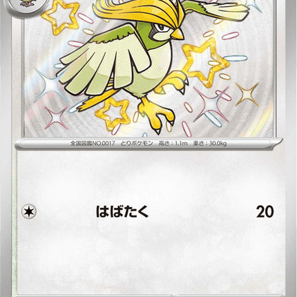 Shiny treasure -  Baby Shiny