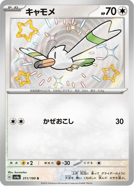 Shiny treasure -  Baby Shiny