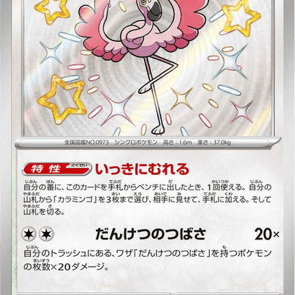 Shiny treasure -  Baby Shiny