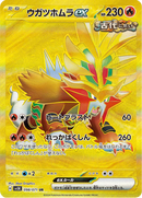 Full Art Pokemon Japanese Pokemon