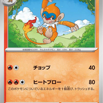 Base Set Pokemon Japanese Pokemon