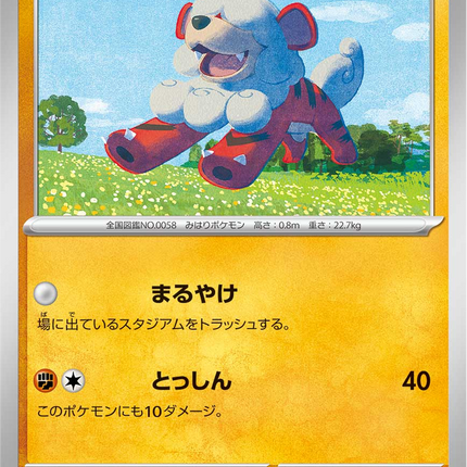 Base Set Pokemon Japanese Pokemon