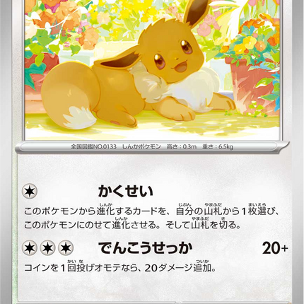 Base Set Pokemon Japanese Pokemon