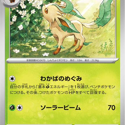 Base Set Pokemon Japanese Pokemon