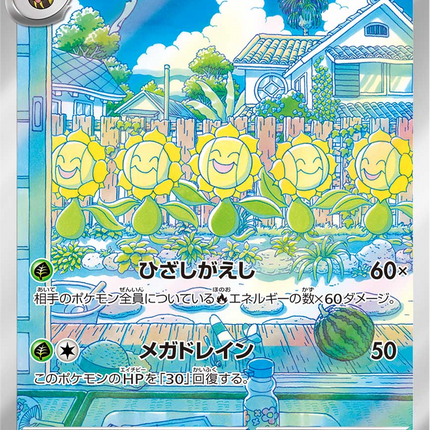 Full Art Pokemon Japanese Pokemon
