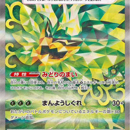 Full Art Pokemon Japanese Pokemon
