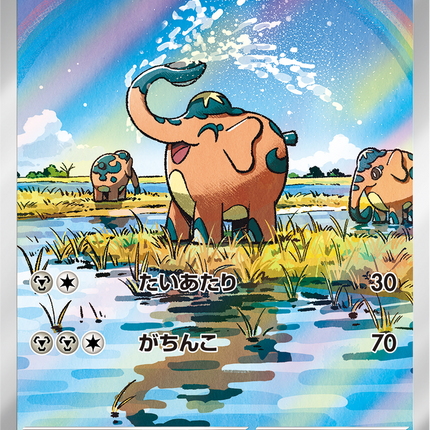 Full Art Pokemon Japanese Pokemon