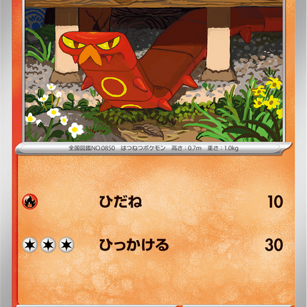 Base Set Pokemon Japanese Pokemon