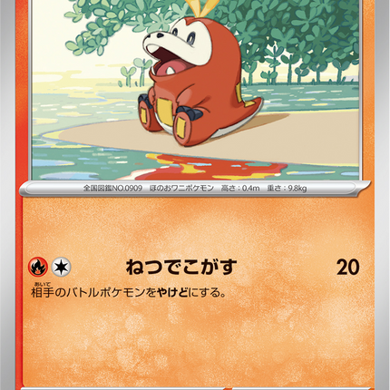 Base Set Pokemon Japanese Pokemon