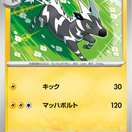 Base Set Pokemon Japanese Pokemon