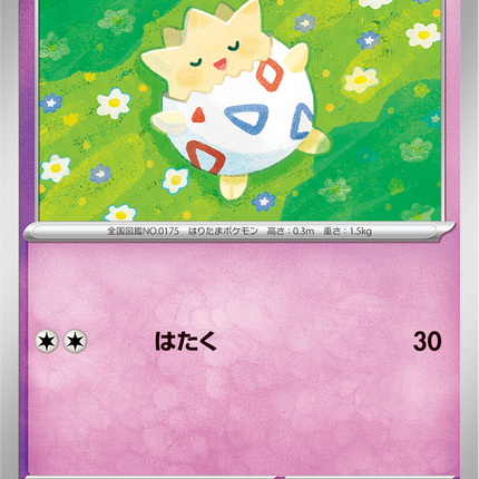 Base Set Pokemon Japanese Pokemon