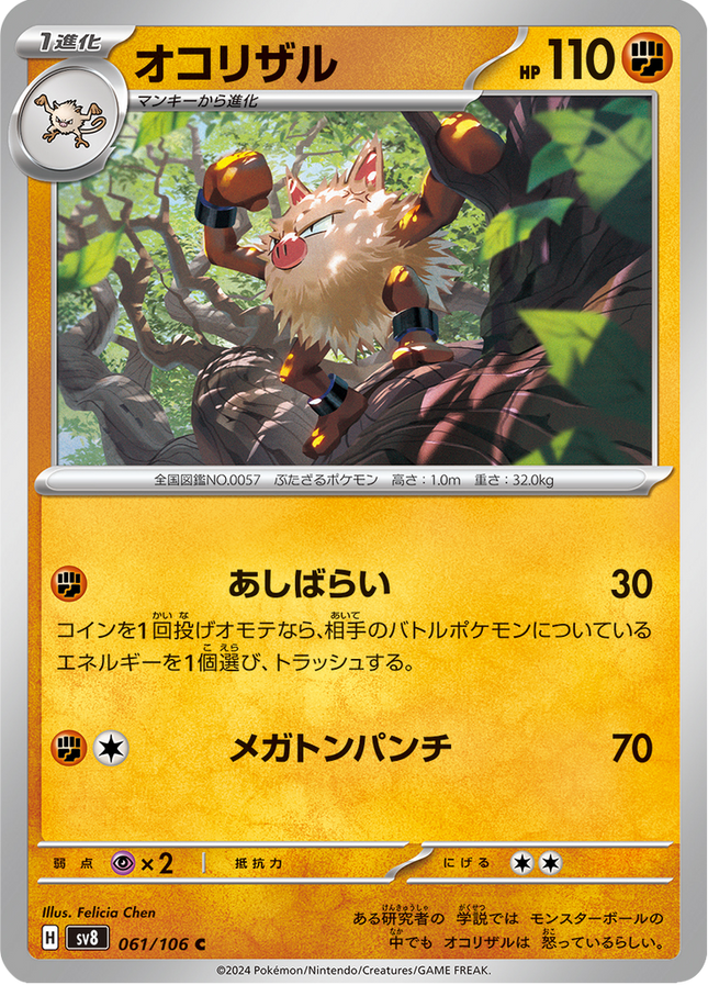 Base Set Pokemon Japanese Pokemon