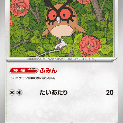 Base Set Pokemon Japanese Pokemon