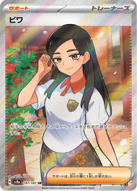 Full Art Pokemon Japanese Pokemon