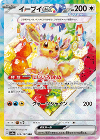 Full Art Pokemon Japanese Pokemon