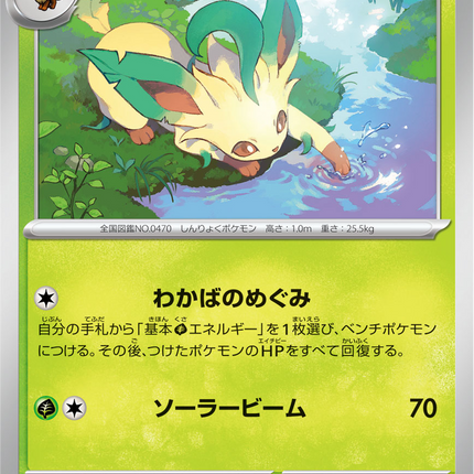 Base Set Pokemon Japanese Pokemon