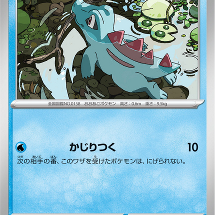 Base Set Pokemon Japanese Pokemon